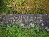 image of grave number 919724